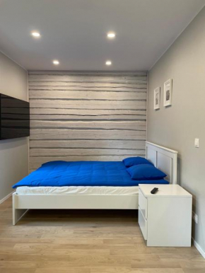 Small apartment in Kose in Kose
